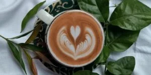 Arabica vs. Robusta