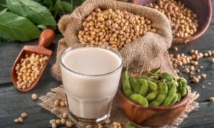 eating Soybean