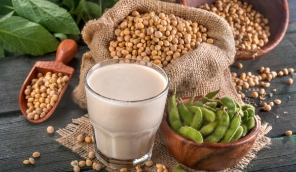 eating Soybean