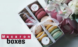 Macaron Boxes
