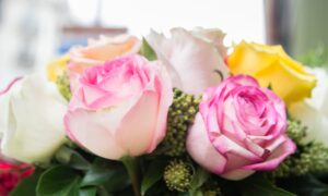 Most Stunning Flowers