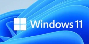 Windows 11