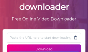 Download Tik Tok videos